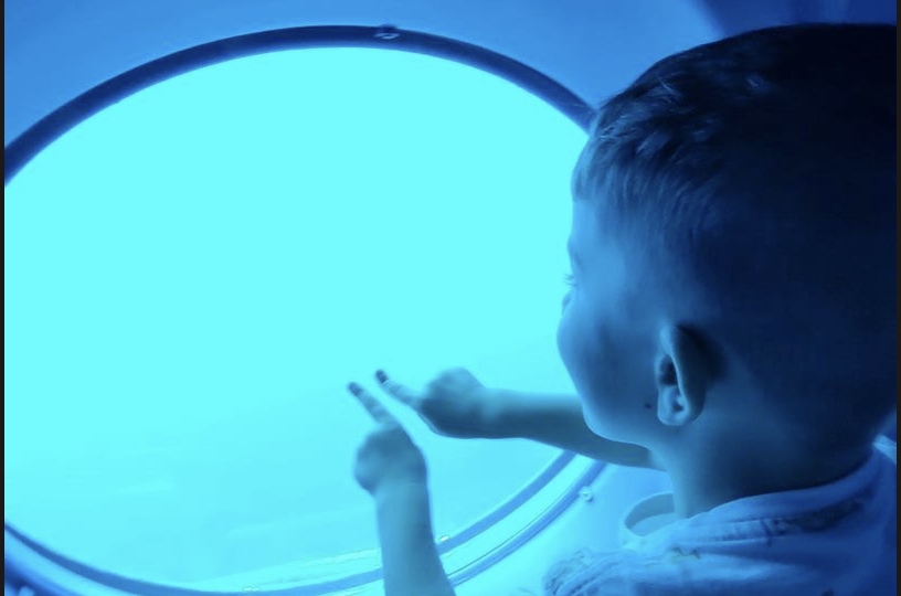 Snímek obrazovky 2022-11-23 v 11.35.10